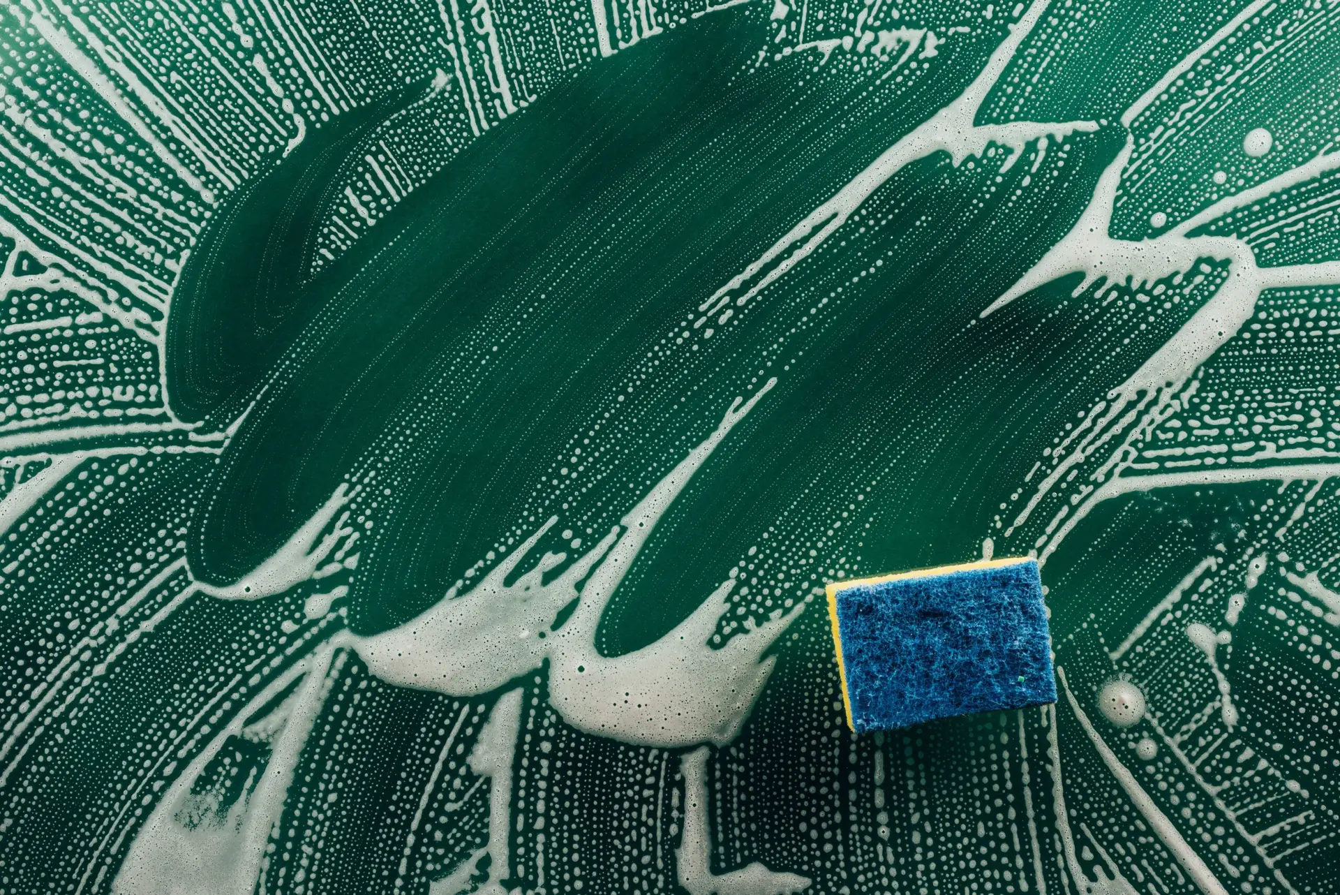 Washing sponge and foam on a surface